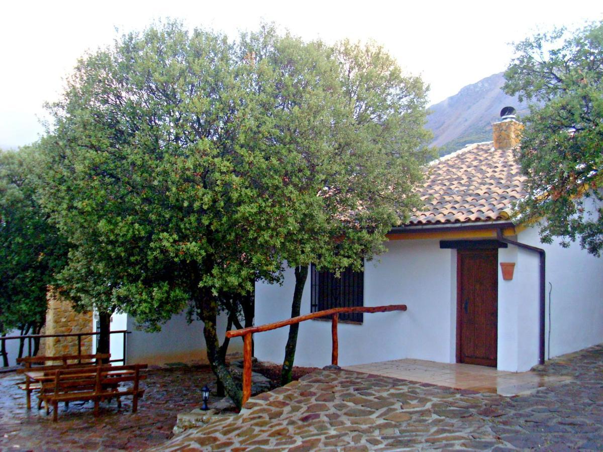 Casas Rurales Cortijos El Encinar Torres  Luaran gambar