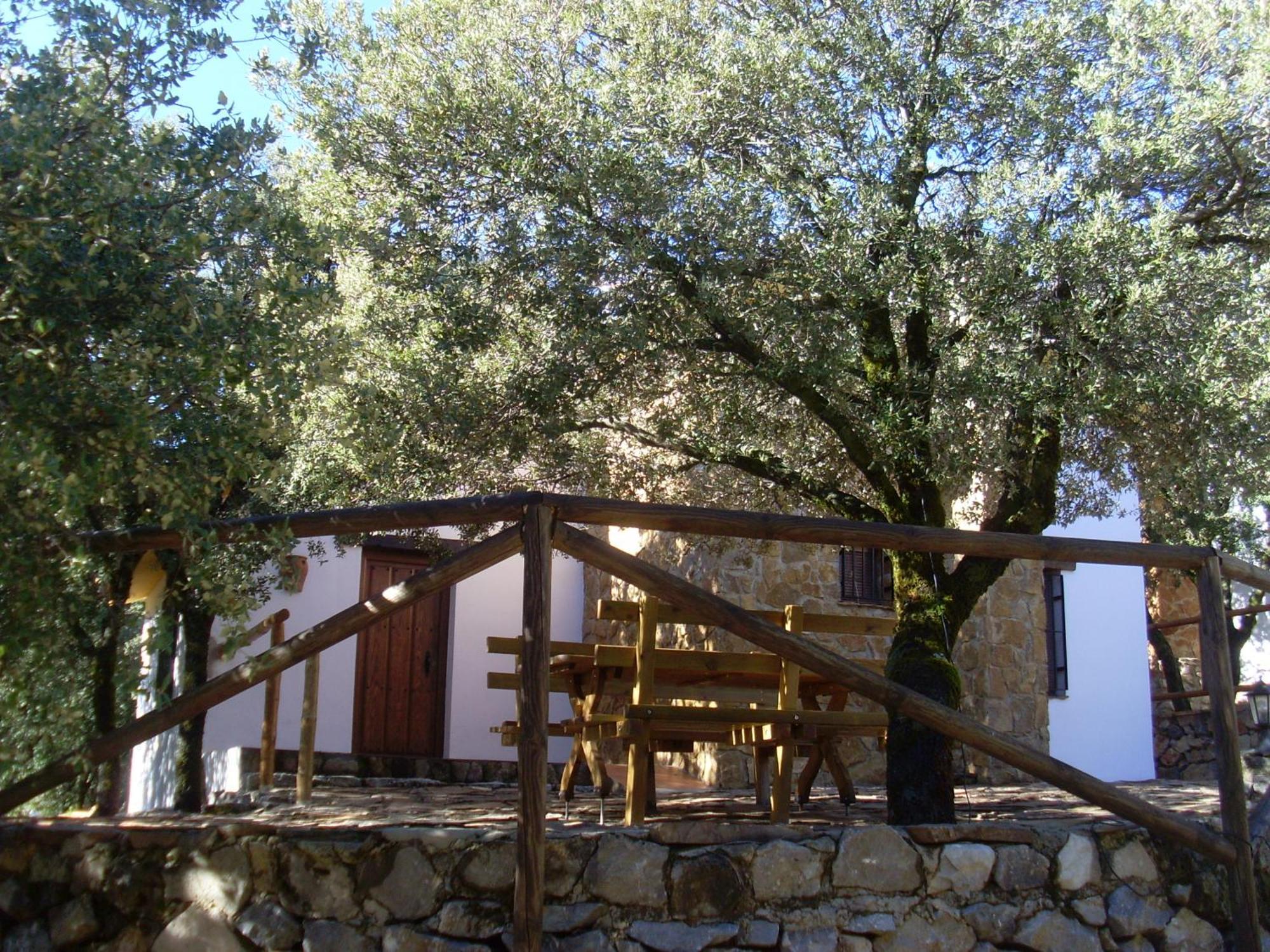 Casas Rurales Cortijos El Encinar Torres  Luaran gambar